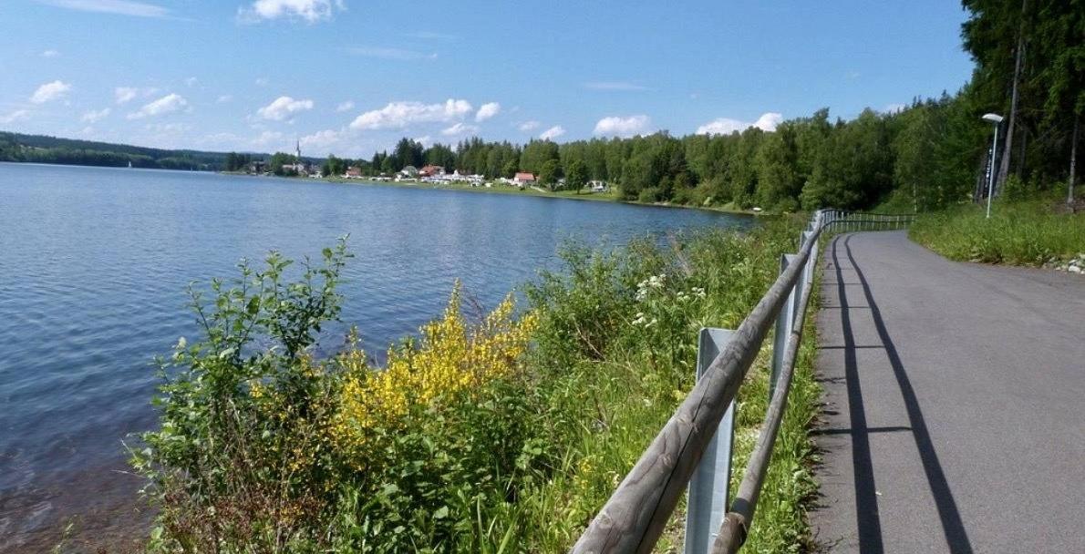 Holiday House Lipno-Slupecna Lipno nad Vltavou Ngoại thất bức ảnh